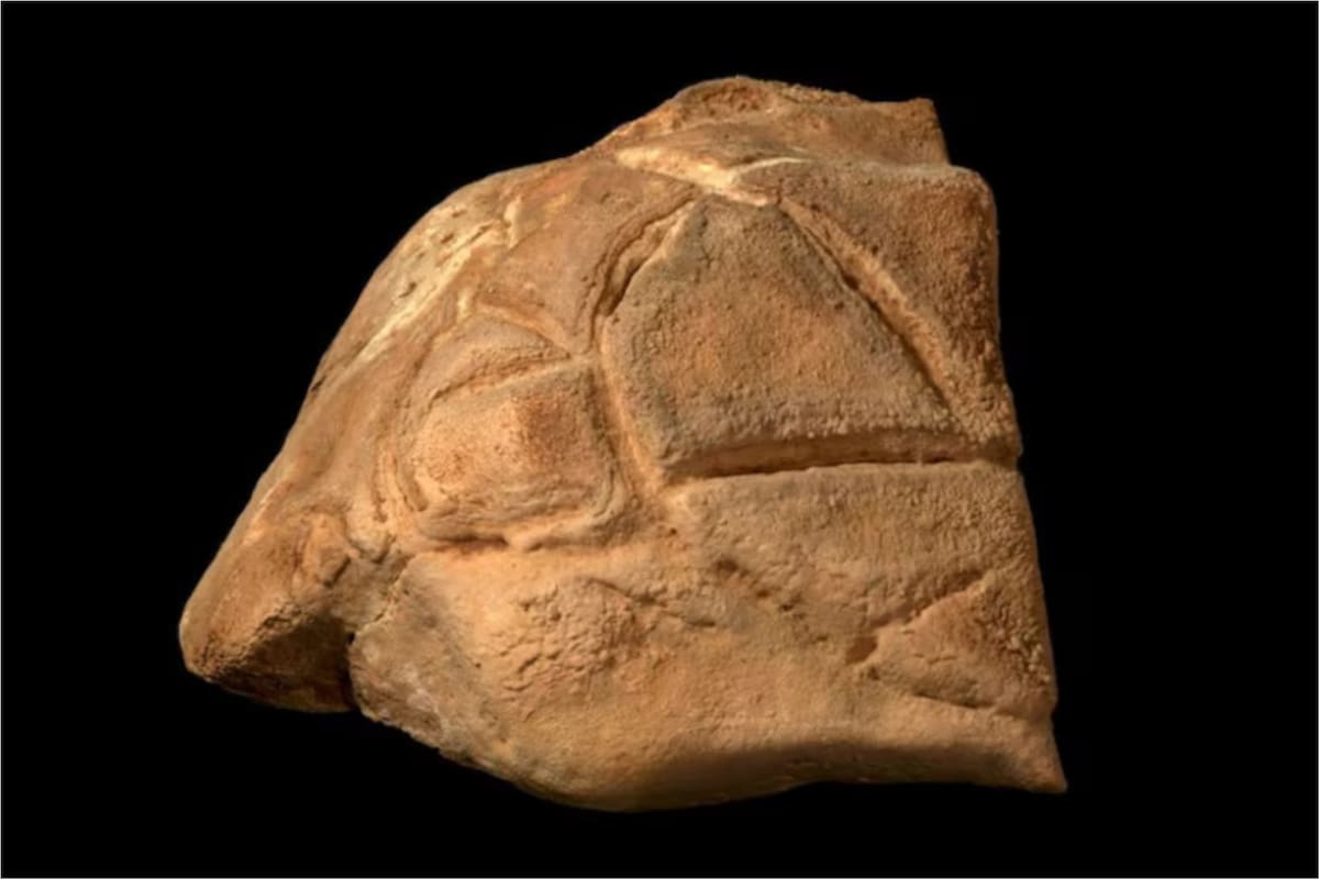 Un hallazgo arqueológico ofrece nuevas evidencias religiosas de hace 35.000 años