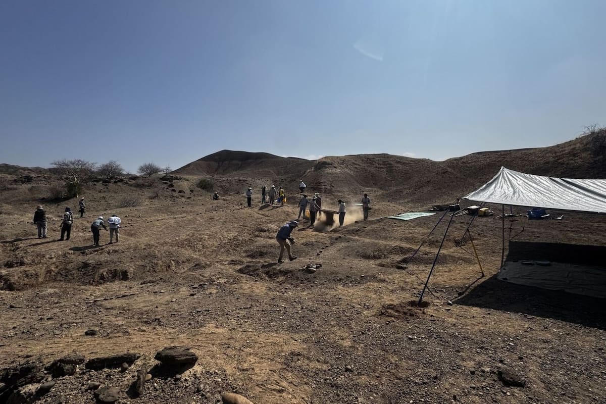 Un hallazgo en Etiopía desafía la historia del Homo sapiens y sugiere prácticas funerarias hace 100000 años