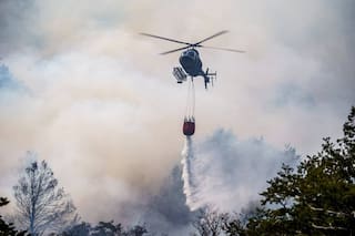 Neuquén registra el incendio forestal más grande de su historia y el viento complica las tareas para combatirlo