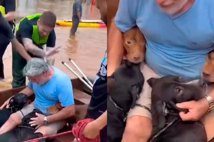 Un hombre arriesgó su vida por salvar a sus perritos de las inundaciones en Brasil