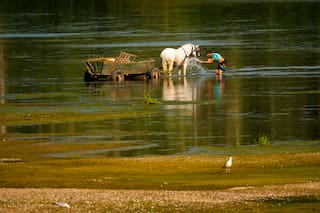 Ola de calor extremo en Europa: Eslovaquia y Austria alcanzan temperaturas récord