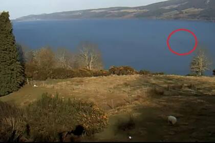 Un hombre asegura haber filmado al monstruo del Lago Ness (Foto: Captura de video)