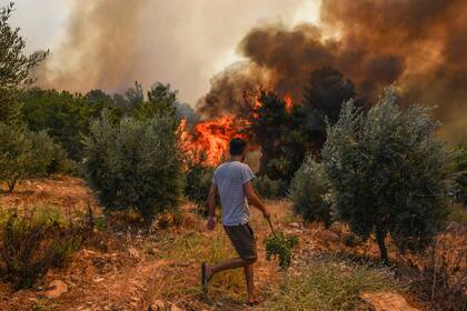 Un hombre camina frente a las llamas en la aldea de Kacarlar, cerca del poblado costero en el Mar Mediterráneo de Manavgat, Antalya, Turquía, el sábado 31 de julio de 2021. (AP Foto)