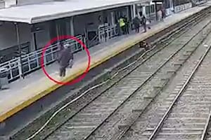 Un hombre caminaba por el andén del Tren San Martín, sobre la estación Pilar, se desmayó y cayó de espaldas sobre las vías