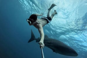 Un hombre capturó el momento exacto en que un tiburón mordió a uno de sus compañeros y se hizo viral