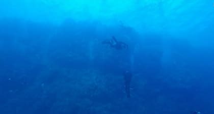 Un hombre capturó el momento justo en que un tiburón mordió a su compañero de excursión