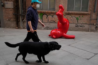 Un hombre con una máscara pasea a un perro junto a obras de arte en el distrito artístico 798, cuyo acceso está controlado debido a las medidas contra la pandemia, el domingo 10 de abril de 2022, en Pekín.
