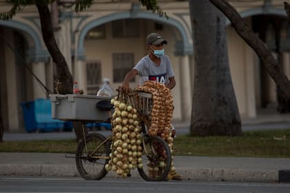 Un hombre con una mascarilla protectora vende ajos y cebollas en La Habana, Cuba, el jueves 30 de diciembre de 2021, en medio de la nueva pandemia de coronavirus.  (AP Foto/Ismael Francisco)