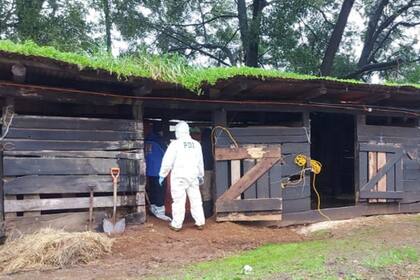 Un hombre de 65 años confesó haber asesinado a su esposa en 1998