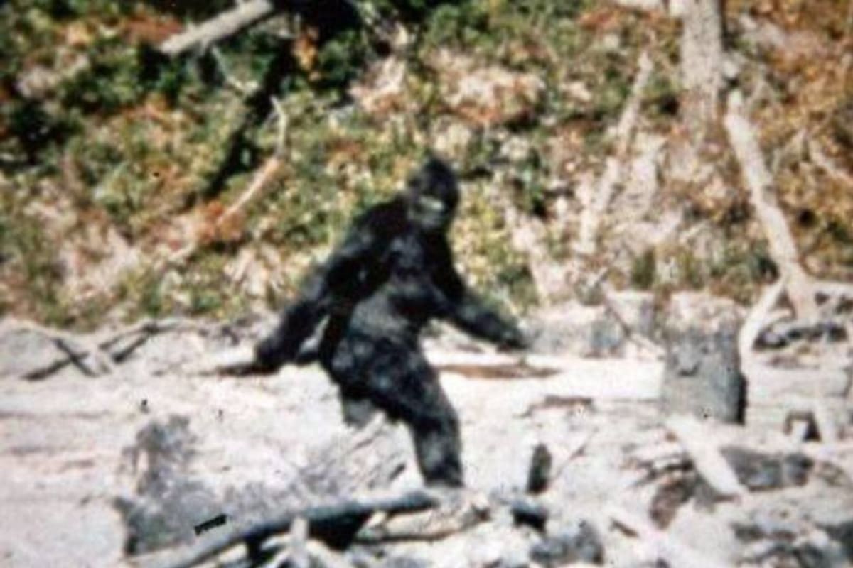 Un hombre describió como fueron sus encuentros con una criatura que podría ser Pie Grande (Foto de archivo)
