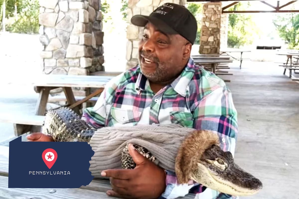 Un hombre en Pensilvania tiene un caimán como mascota de apoyo emocional (vía WPXI)