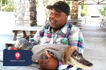 Un hombre en Pensilvania tiene un caimán como mascota de apoyo emocional (vía WPXI)