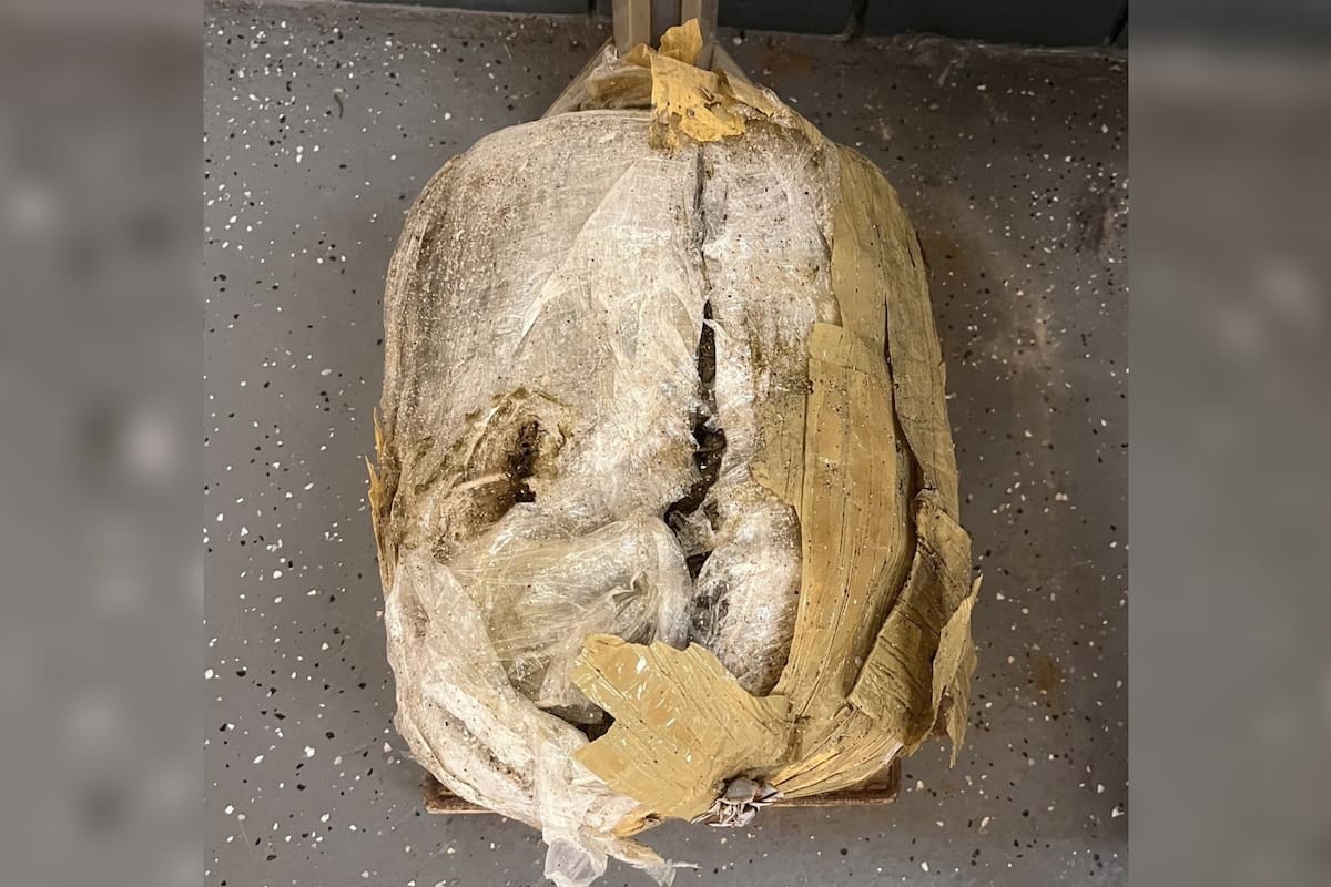 Un hombre encontró un paquete sospechoso mientras caminaba por la playa de Florida