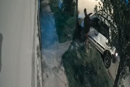 Un hombre fue abordado por un delincuente cuando sacaba su camioneta del garage, intentó evitar el robo y se colgó del vehículo por más de media cuadra, el ladrón perdió el control y chocó, a causa de los golpes el dueño de la camioneta murió, tenía 54 años