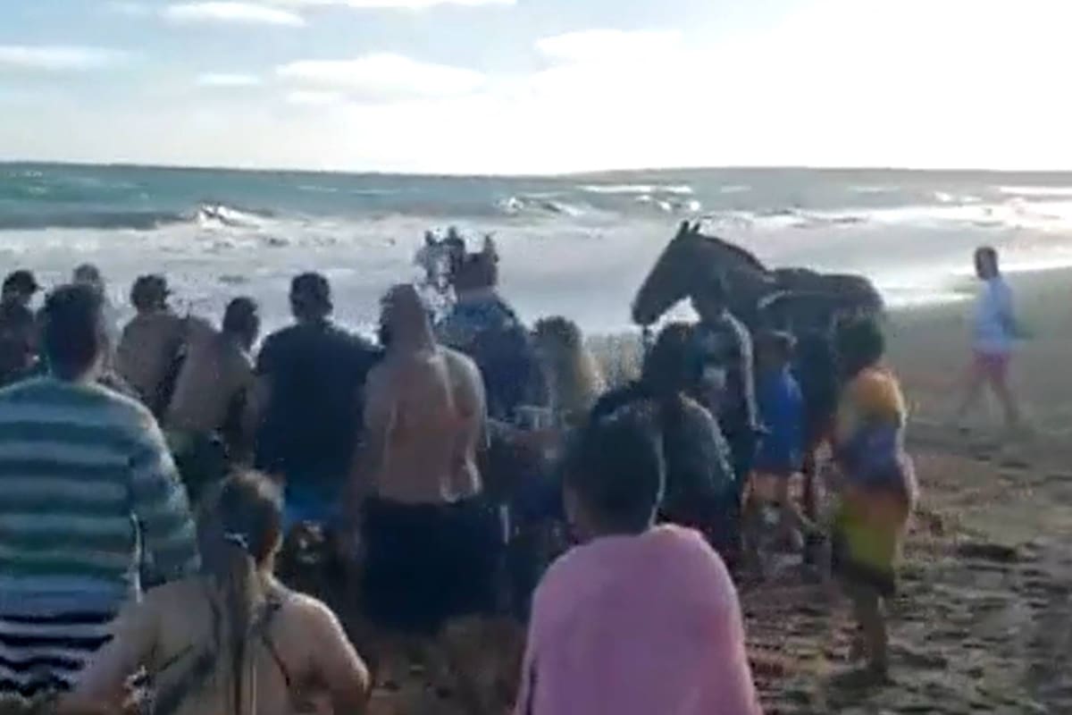 Un hombre fue casi golpeado para que abandone una playa pública a la que había llegado a caballo
