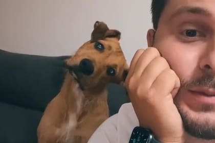 Un hombre grabó a su pequeño perro cuando pronunciaba la palabra "calle" y se volvió viral en las redes sociales