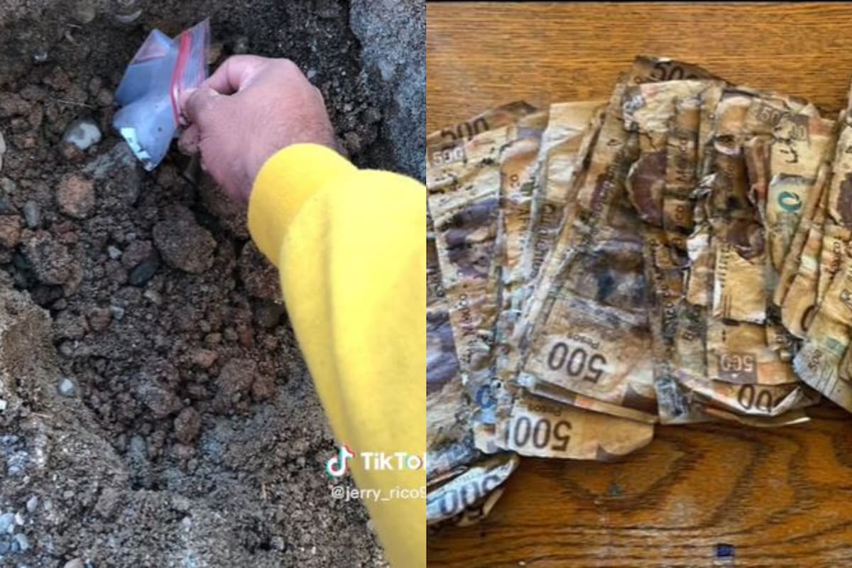 Un hombre guardó varios billetes de gran valor en una bolsa y los enterró bajo tierra