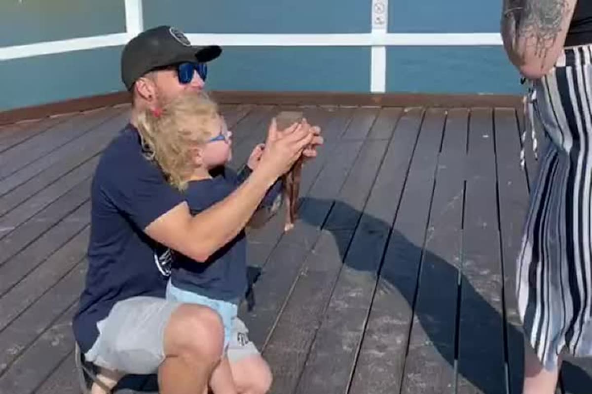 Un hombre le pidió casamiento a su novia, pero al abrir la caja ocurrió lo peor