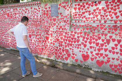Un hombre lee los corazones del Muro en Recuerdo del COVID en Londres, el jueves 18 de julio de 2024. (Jonathan Brady/PA vía AP)