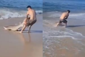 Un hombre luchó contra un tiburón en las aguas de Nueva York y recibió miles de críticas en redes sociales