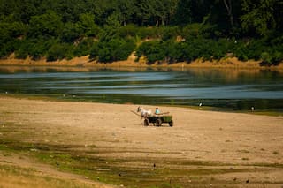 Mínimo histórico del Danubio afecta al turismo y a la industria; sequía y calor azotan Europa central