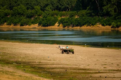 Un hombre maneja un carro tirado por un caballo por la orilla de arena del río Danubio, que normalmente está sumergida pero quedó expuesta debido al nivel extremadamente bajo del agua tras una larga sequía