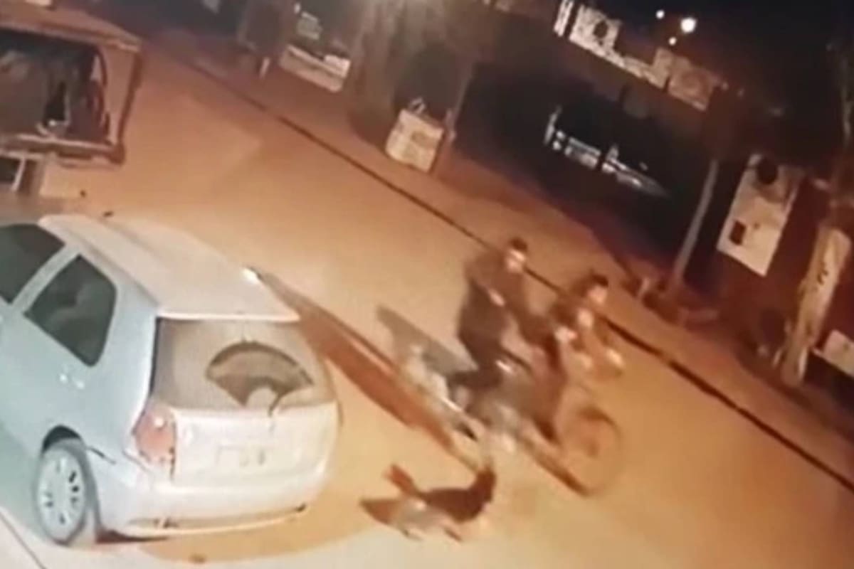 Un hombre mató a un perro en la calle