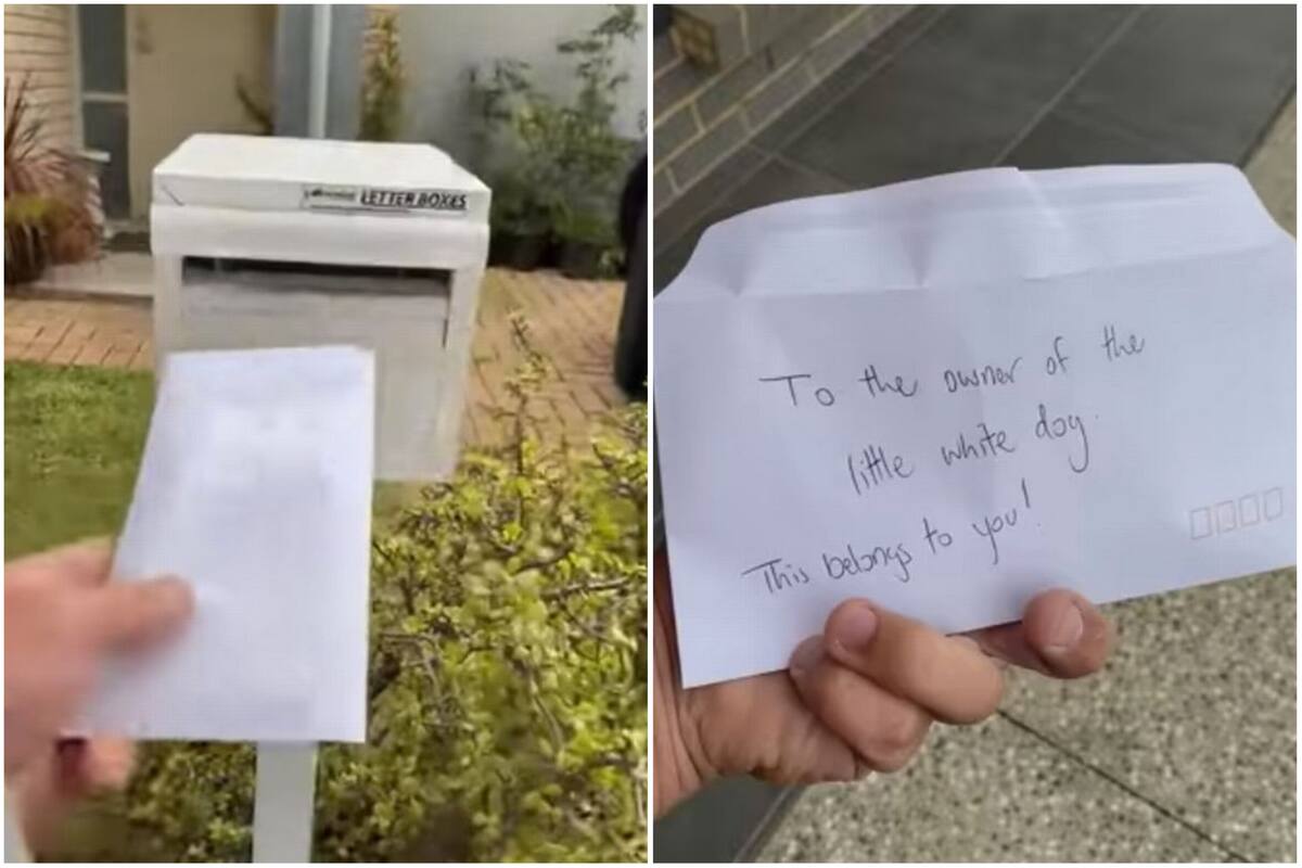 Un hombre puso a prueba la poca paciencia que le quedaba y decidió darle una lección a una mujer