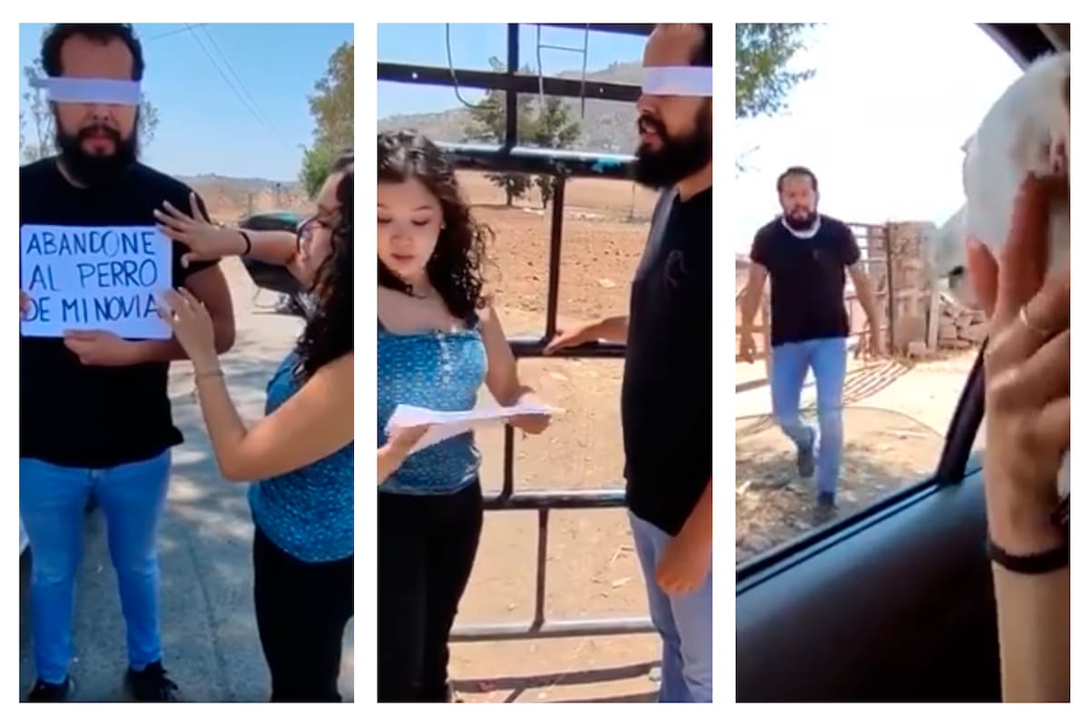 Un hombre recibe su merecido por abandonar al perro de su novia por no ser de raza