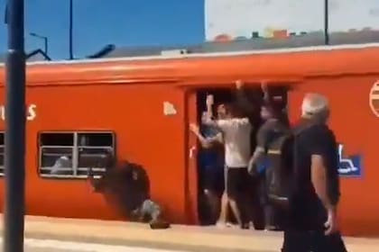 Un hombre se cayó a las vías del tren Belgrano Norte