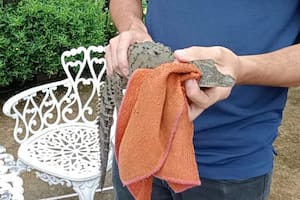 Un hombre se encontró con una pequeña cría de cocodrilo