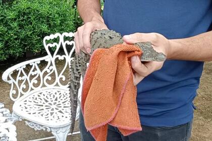 Un hombre se encontró con una pequeña cría de cocodrilo