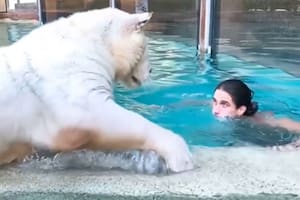 Un hombre se hizo viral en Facebook por ser similar a Tarzán por el trato con los animales