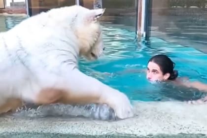 Un hombre se hizo viral en Facebook por ser similar a Tarzán por el trato con los animales