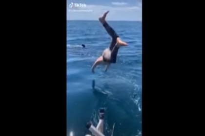 Un hombre se tiró al mar a nadar y, tras encontrarse con un tiburón blanco, debió escapar del agua rápidamente