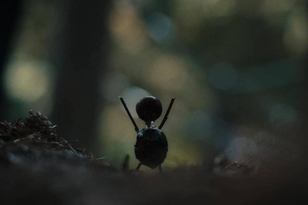 Un hombrecito hecho con castañas aparece en las escenas del crimen del thriller psicológico danés El caso Hartung (The Chestnut Man), la serie que es furor en Netflix
