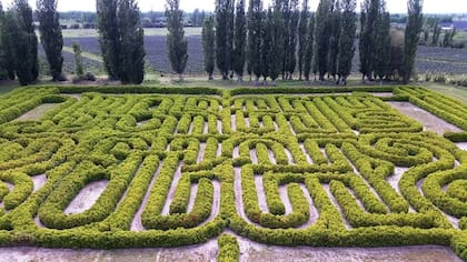 Un ícono de la zona: El laberinto de Borges en la estancia Los Álamos de San Rafael.
