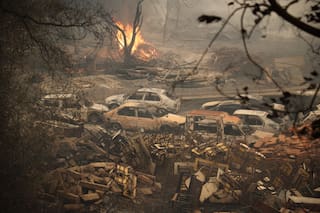 Argelinos luchan contra incendios letales mientras el presidente pide pena de muerte para los pirómanos