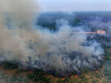 Un incendio en la selva amazónica en el norte de Brasil, el 4 de septiembre de 2024 destruyó el ecosistema local y generó humo tóxico.