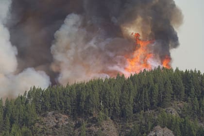 Un incendio forestal afecta a la visibilidad en Broward y Miami-Dade