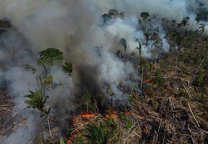 Un incendio forestal arde en la región de la carretera Transamazónica en septiembre de 2022 (Archivo)