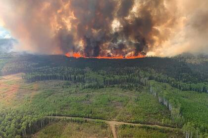 Un incendio forestal arrasa con un bosque de Alberta, Canadá, el 12 de mayo de 2023. (Government of Alberta Fire Service/Canadian Press via AP)