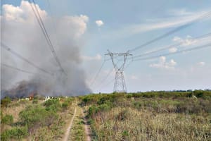Un incendio perturbó una línea de alta tensión de 500 kw que une Campana con Gral. Rodríguez