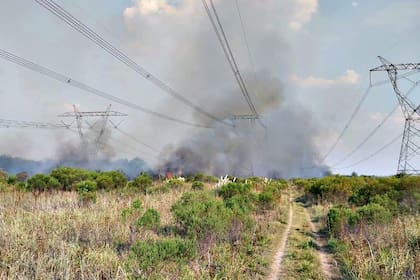 Un incendio perturbó una línea de alta tensión de 500 kw que une Campana con Gral. Rodríguez