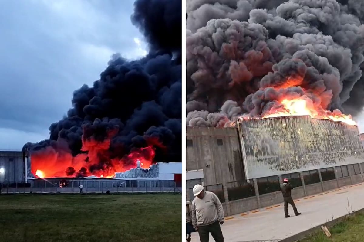 Un incendio se desencadenó en una planta de alimento para mascotas en General Las Heras, provincia de Buenos Aires