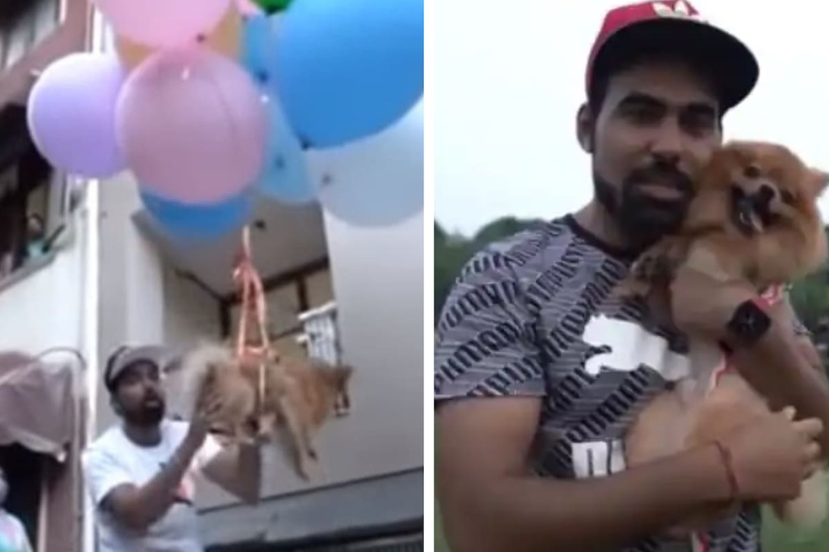 Un influencer fue arrestado luego de hacer volar a su perra Dollar con globos de hidrógeno