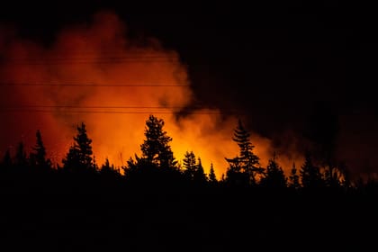 Un informe de Bomberos confirmó que el incendio en Epuyén fue intencional