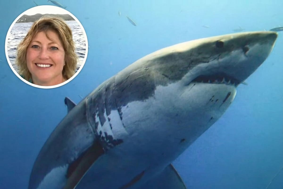 Un informe del departamento de policía de la isla indicó que los operadores del 911 acudieron a Dorsch Beach a las 16.28 hs del 8 de enero tras recibir informes de una mujer atacada por un tiburón