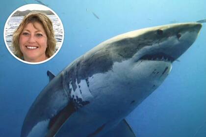 Un informe del departamento de policía de la isla indicó que los operadores del 911 acudieron a Dorsch Beach a las 16.28 hs del 8 de enero tras recibir informes de una mujer atacada por un tiburón