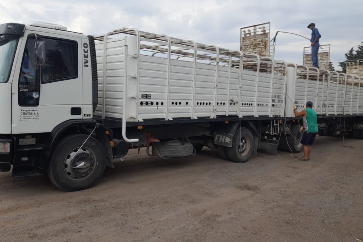 Un intendente autorizó un aumento en la tasa única de guía de hacienda en una localidad de la provincia y desató un escándalo